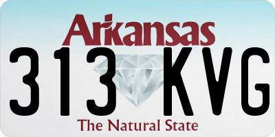 AR license plate 313KVG
