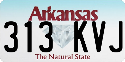 AR license plate 313KVJ