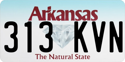 AR license plate 313KVN