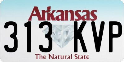 AR license plate 313KVP