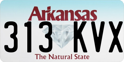 AR license plate 313KVX