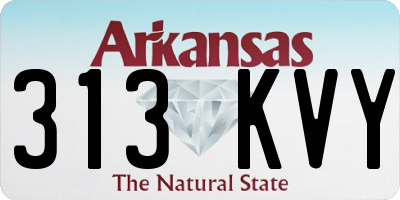AR license plate 313KVY