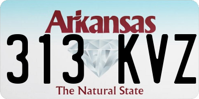 AR license plate 313KVZ
