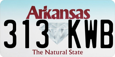 AR license plate 313KWB