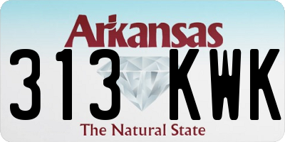 AR license plate 313KWK