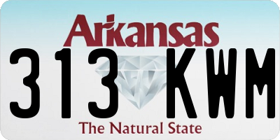 AR license plate 313KWM