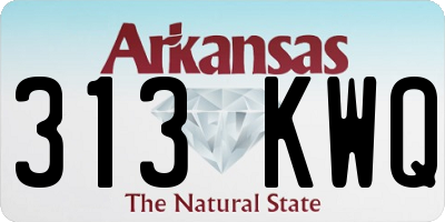 AR license plate 313KWQ
