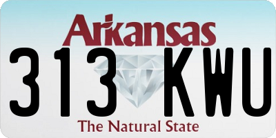 AR license plate 313KWU