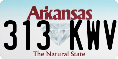 AR license plate 313KWV