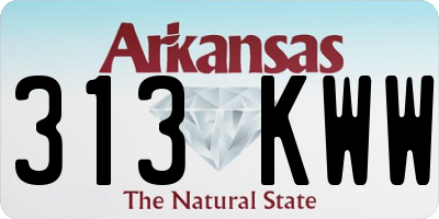 AR license plate 313KWW