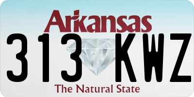 AR license plate 313KWZ