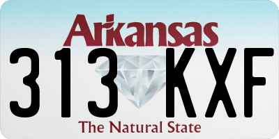 AR license plate 313KXF