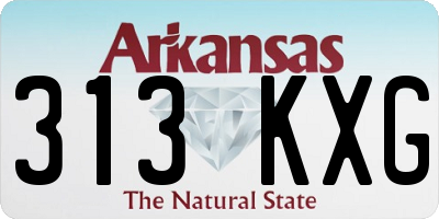 AR license plate 313KXG