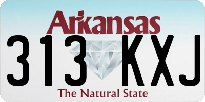 AR license plate 313KXJ