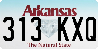 AR license plate 313KXQ