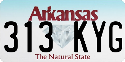 AR license plate 313KYG