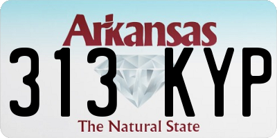 AR license plate 313KYP