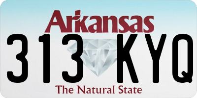 AR license plate 313KYQ