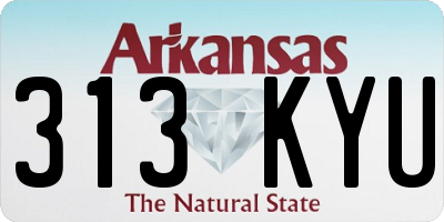 AR license plate 313KYU