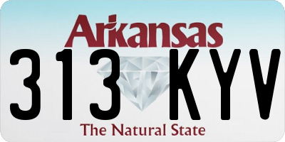 AR license plate 313KYV