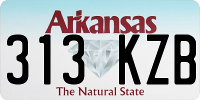 AR license plate 313KZB