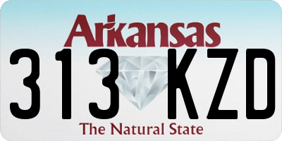AR license plate 313KZD