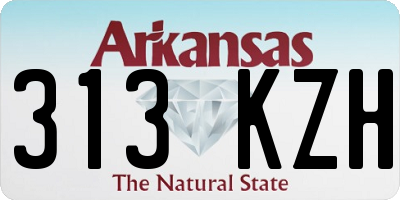 AR license plate 313KZH