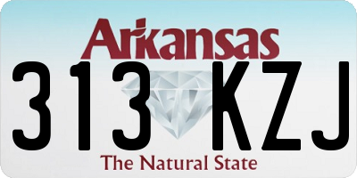 AR license plate 313KZJ