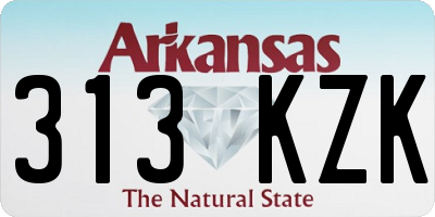 AR license plate 313KZK