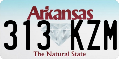 AR license plate 313KZM