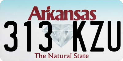 AR license plate 313KZU