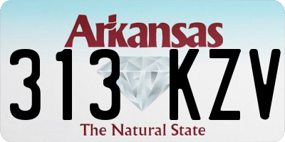 AR license plate 313KZV