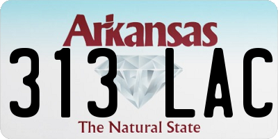 AR license plate 313LAC