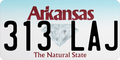 AR license plate 313LAJ