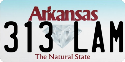 AR license plate 313LAM