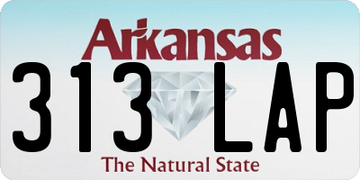 AR license plate 313LAP