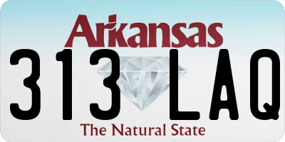 AR license plate 313LAQ