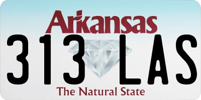 AR license plate 313LAS