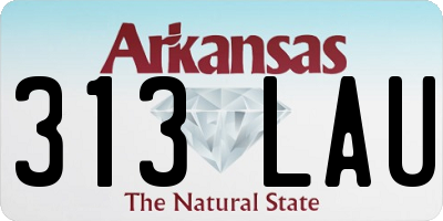 AR license plate 313LAU