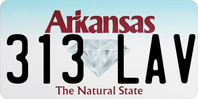 AR license plate 313LAV