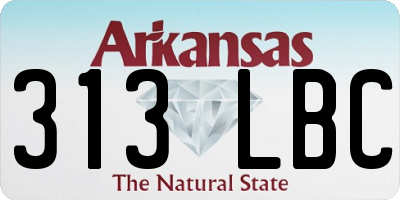 AR license plate 313LBC