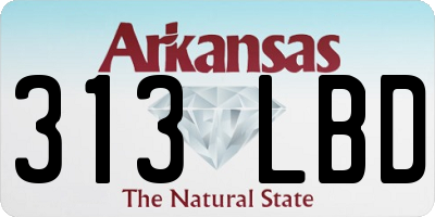 AR license plate 313LBD
