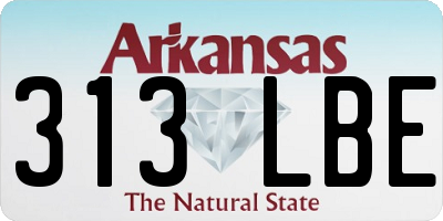 AR license plate 313LBE