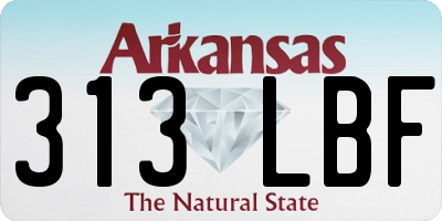 AR license plate 313LBF