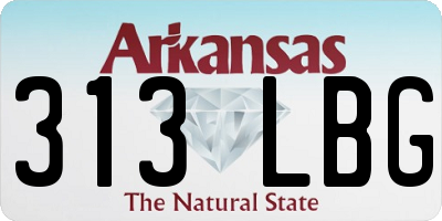 AR license plate 313LBG