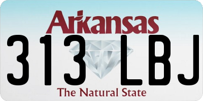 AR license plate 313LBJ