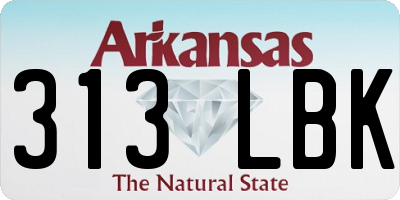 AR license plate 313LBK
