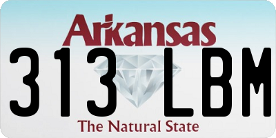 AR license plate 313LBM