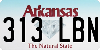 AR license plate 313LBN