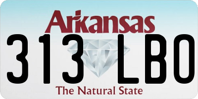 AR license plate 313LBO